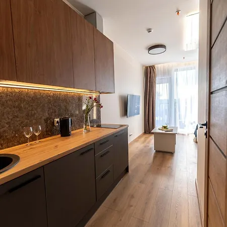 Sky Pool Escape Luxury In Center Druskininkai