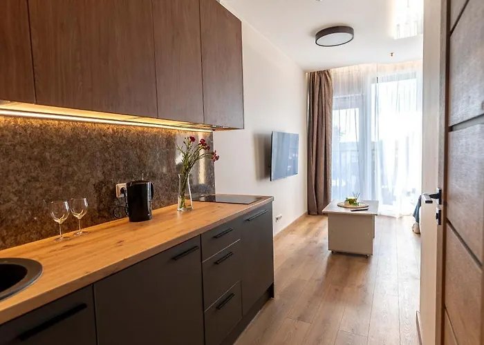 Sky Pool Escape Luxury In Center Druskininkai